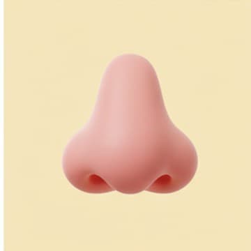 จมูก